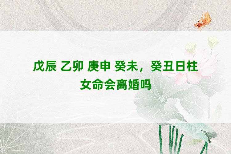 戊辰 乙卯 庚申 癸未，癸丑日柱女命会离婚吗